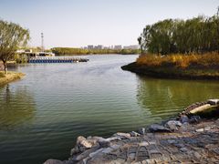 -大兴滨河森林公园