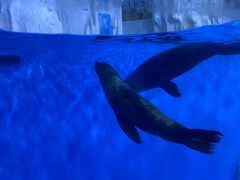 -多彩贵州城极地海洋世界