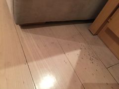 -南京凯铂精品酒店