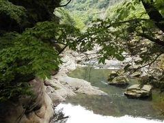 -黎坪国家森林公园