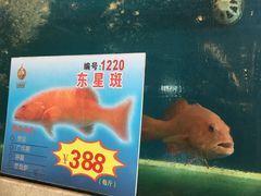 -海景壹号大酒店(惠钱路店)