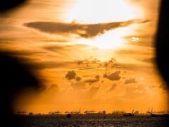 -宝安西湾红树林湿地公园