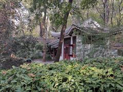 -紫霞湖公园