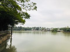 -海上田园
