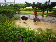 -三亚亚龙湾天域度假酒店