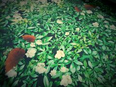 -福州火车南站(地铁站)