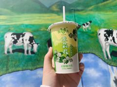 -扬大康源乳业鲜奶吧(大学北路店)