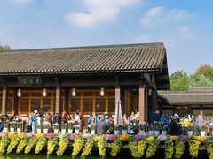 -杭州植物园