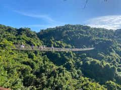 -亚龙湾热带天堂森林公园