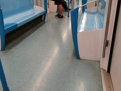 -东方体育中心(地铁站)