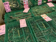 -荔城生鲜盛宴(番禺旗舰店)