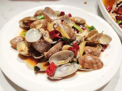 辣炒花蛤-杨氏青龙虾·羊蝎子(金盛路总店)