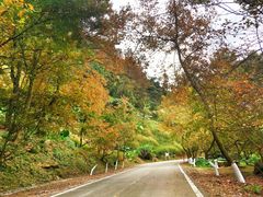 -广州市石门国家森林公园