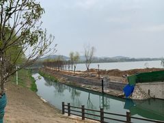 -羊山湖公园
