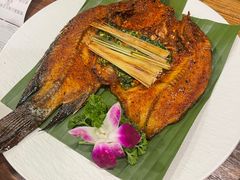 -紫滇源云南生态菜(丹凤街店)