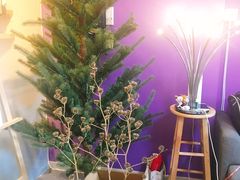 -BRAVO 赞·美艺术中心·系统美术·书法·艺考(双井校区)