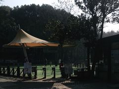 -WeLope紫金山探险公园