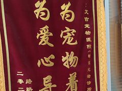 -艾吉宠物医院·疑难杂症转诊中心·猫友好(碧江路院)