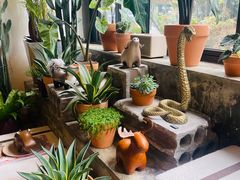 -PlantsEatery·植物食堂(REX春熙店)