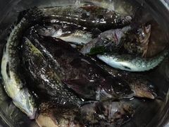 -Rabbit Cafe私房西餐甜点咖啡(栖霞路店)