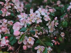 -北京金海湖景区
