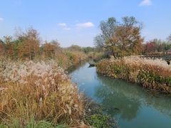 -西溪国家湿地公园