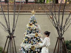 -The Pine 松涧
