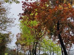 -广州市石门国家森林公园