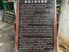 -西双版纳原始森林公园