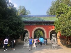 -灵谷景区