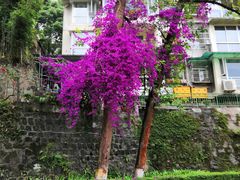 -西南交通大学(峨眉校区)