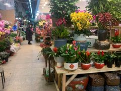 -双季花艺园艺市场(浦东店)