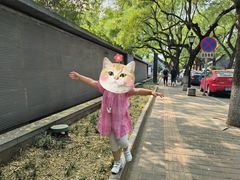 -北京国子监胡同