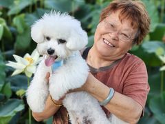 -翊宠yipet猫狗购宠庄园犬舍•猫舍