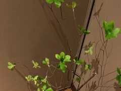 -宴昆山·私房菜(春晖店)