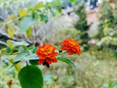 -草庵摩尼教遗址公园