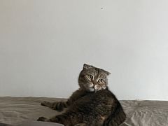 -兰湘子·湘菜小炒(石家庄万象城店)