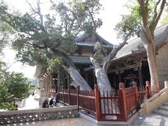 -晋祠公园