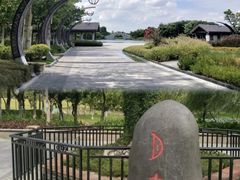 -映月湖公园
