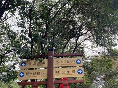 -阅江楼风景区