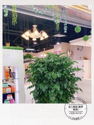 -虫二·专注健康烫染沙龙