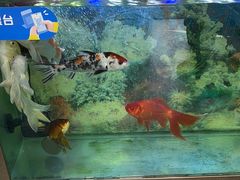 -朋朋修脚(友好广场店)