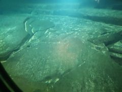 -白鹤梁水下博物馆