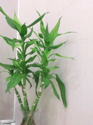 点击看大图 -尚艺造型.剪烫染.接发