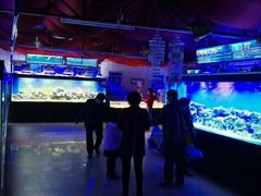 -御唐府海珊瑚主题餐厅