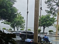 -野菌皇海景野生菌火锅(滨海大道店)