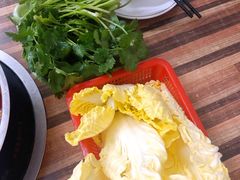香菜-专业跳跳蛙·彭彭老铺(步行街店)