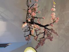 大堂-蜜桃餐厅·伴山(绿宝广场店)