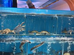 -山海•蒸汽活海鲜自助(皇庭广场店)