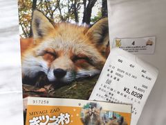 -宫城藏王狐狸村